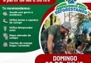 Invitan a la ciudadanía a Jornada de Reforestación en Tlalnelhuayocan