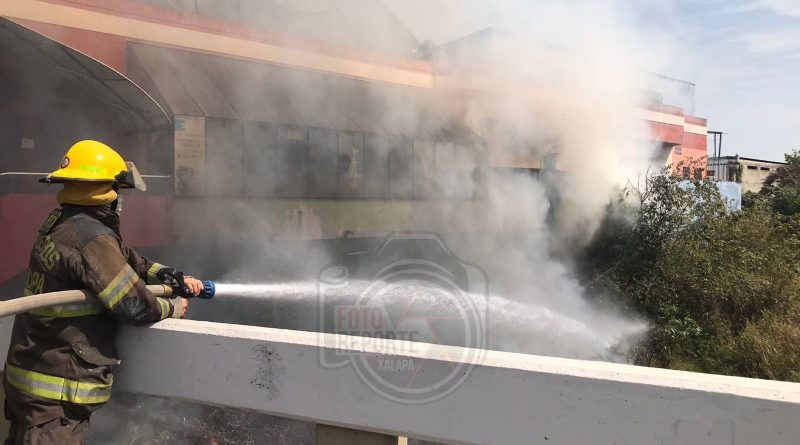 Incendio de pastizal moviliza a Bomberos de Xalapa
