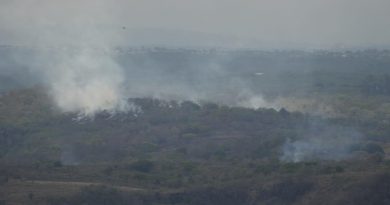 PC Emiliano Zapata combate diversos incendios