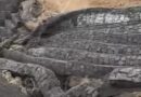 Cae muro de contención en Xalapa por reblandecimiento de la tierra a causa de las lluvias