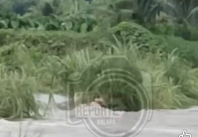 La tormenta tropical “Erick” cobra su primera víctima en Actopan