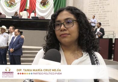 Destinar recursos para bienestar animal pide a municipios diputada Tania Cruz