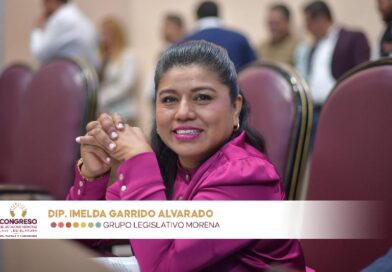 Veracruz armonizará ley ambiental con normafederal; endurecerán penas contra tala ilegal