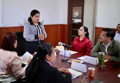 Se reúne Comisión de Medio Ambiente con autoridades de Sedema y PMA