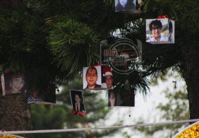 El Pino de la Esperanza vuelve a colocarse como recordatorio de personas desaparecidas