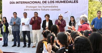 Inicia Ayuntamiento de Veracruz acciones permanentes para proteger su sistema lagunar