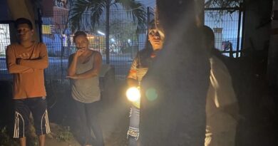 Atiende Ayuntamiento de Veracruz denuncia por presunta crueldad animal en Palma I Ruba