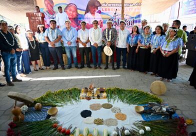 Riqueza cultural de Veracruz, herencia invaluable: diputado Esteban Bautista