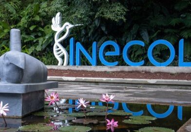 Jardín botánico se mantiene abierto y espera hasta mil 500 visitantes diarios en Semana Santa