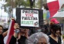 Colectivos marchan en xalapa en solidaridad con palestina