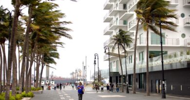 Alerta Gris en fase de vigilancia por Frente Frío en la ciudad de Veracruz