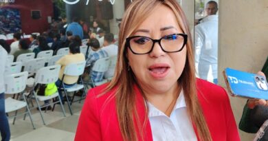 Salud municipal de Xalapa descarta denuncias recientes por envenenamiento de gatos