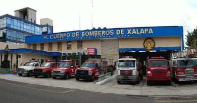 Advierten aumento de reportes por serpientes en la ciudad