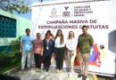 Inicia Campaña de Esterilización Gratuita de Felinos y Caninos en la ciudad de Veracruz