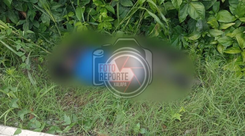 Hallan a un hombre sin vida en zona rural de Papantla; suman dos casos en una semana