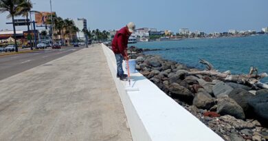 Embellece Ayuntamiento de Veracruz el bulevar Ávila Camacho