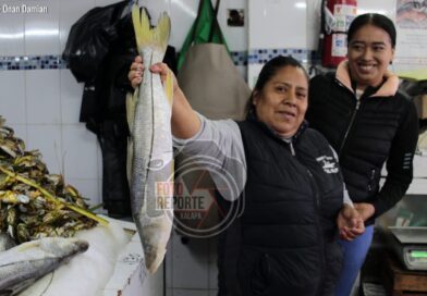 Rocío Nahle asegura que consuno de pescado es seguro en Veracruz