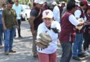 Retiran 134 toneladas de desechos en jornada de descacharrización en la ciudad de Veracruz