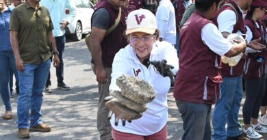 Retiran 134 toneladas de desechos en jornada de descacharrización en la ciudad de Veracruz