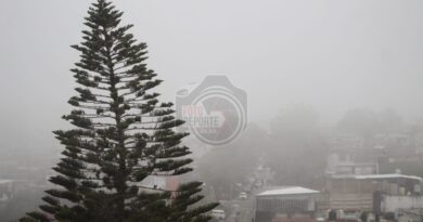 Neblina en Xalapa derivado del frente frío 43