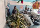 Confían CANACO en buena temporada de venta de pescado en Semana Santa