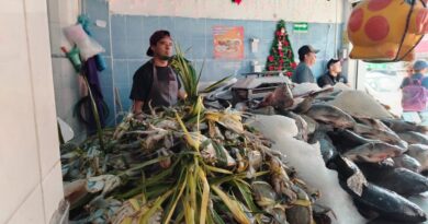 Confían CANACO en buena temporada de venta de pescado en Semana Santa