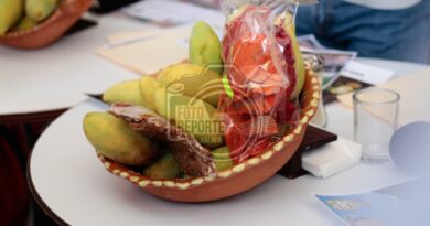 En Actopan, disminuye 40% producción de mango por falta de rentabilidad y nuevos cultivo