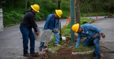 Personal de Alumbrado Público trabaja en restablecer luminarias en el fraccionamiento Las Fuentes