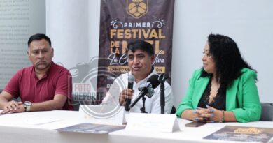 Festival de la Colmena Viva en Teocelo