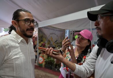Grupo Legislativo del PVEM respalda trabajo de Rocío Nahle García y destaca resultados de su administración: Carlos Marcelo Ruiz Sánchez