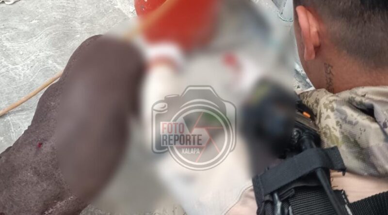 Explosión deja dos lesionados y un perrito herido en la 21 de Marzo