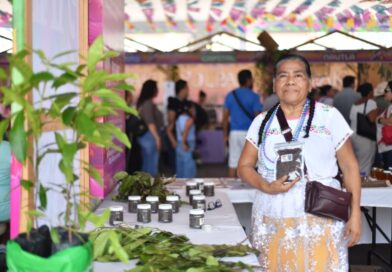 Yolpaki, vitrina viva de los saberes y la riqueza de la tierra veracruzana