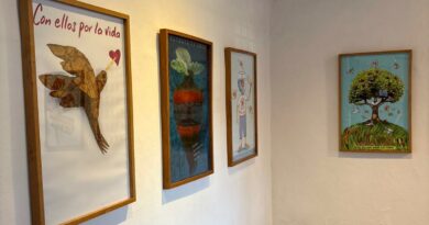 Este lunes en el CRX, inauguran exposición por el 35.° aniversario de Matraca, A. C.