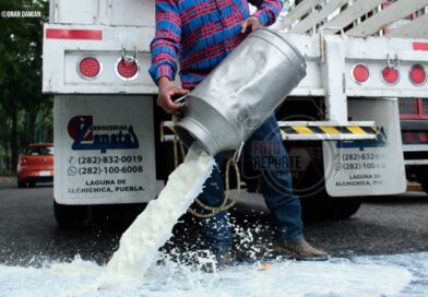 Productores derraman leche frente a LICONSA para exigir apoyo al sector ganadero