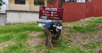 Rescata Ayuntamiento área verde en el fraccionamiento Los Pinos