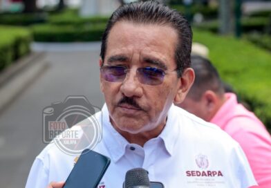 Clima y plagas disparan precio del jitomate; Veracruz no puede producirlo a bajo costo, admite Sedarpa