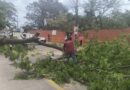 Saldo blanco y afectaciones menores en la ciudad de Veracruz por frente frío 48