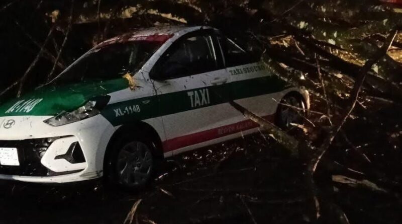 Árbol cae sobre taxi en la carretera Xalapa–Coatepec vía Briones