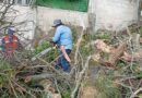 Atiende Ayuntamiento de Xalapa reportes de afectaciones por lluvias