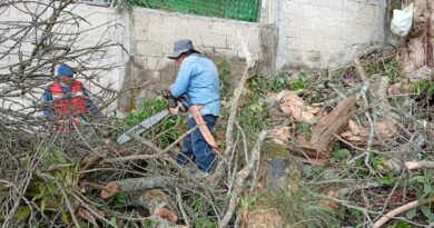 Atiende Ayuntamiento de Xalapa reportes de afectaciones por lluvias