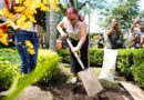 Con jornada de reforestación, conmemora Ayuntamiento Día Mundial del Medio Ambiente