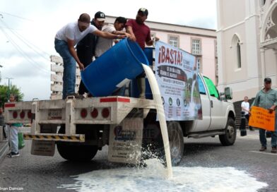 39 productores de leche están bajo análisis por irregularidades