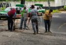 Taxistas exigen reparación de la carretera vieja a Coatepec y tapan baches por cuenta propia
