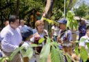 Inicia Ayuntamiento de Veracruz programa de reforestación para fortalecer las áreas verdes de la ciudad