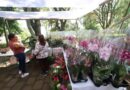 Anuncian nueva edición del Mercadito Bicentenario con temática de floricultura