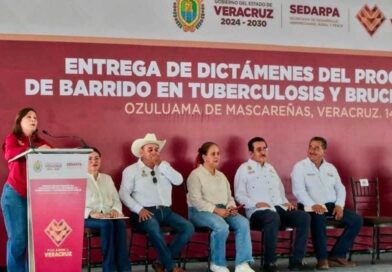 Con barrido sanitario, certificada la competitividad de la ganadería veracruzana: Gobernadora