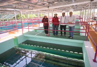 Rocío Nahle entrega planta potabilizadora para 48 mil habitantes de Pueblo Viejo y Tampico Alto 
