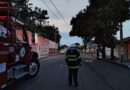 Atienden Bomberos municipales de Veracruz ataque de abejas; solicitan apoyo para localizar a familiares de un lesionado