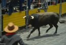 ¡Sí habrá capea en Xico! Pero con reglas estrictas