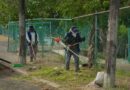Gobierno de Boca del Río continúa con la rehabilitación de la Unidad Deportiva Beto Ávila